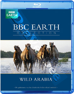 Wild Arabia |   Blu-Ray